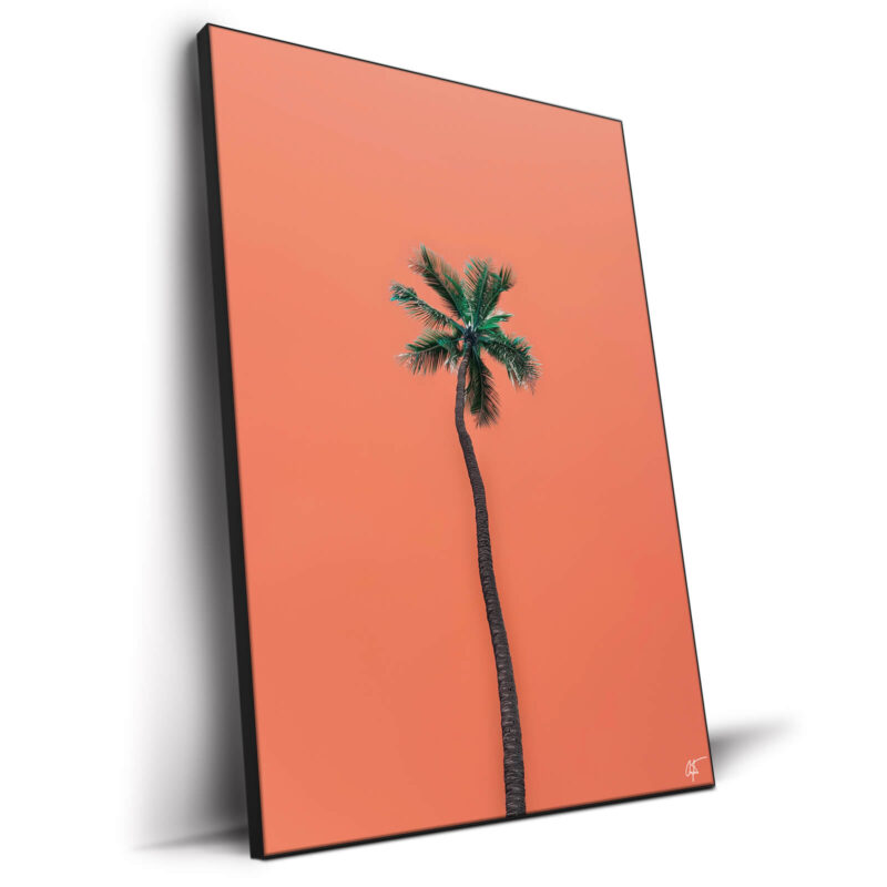 Waikiki Warm Wall Decor by Arytron