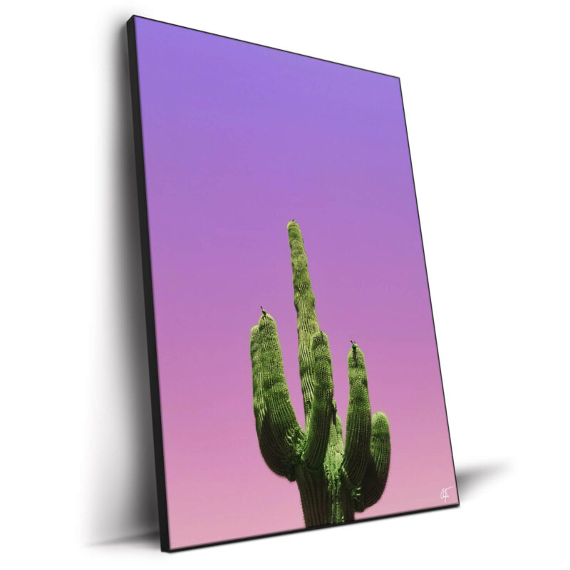 Cactus Vibrant Wall Decor by Arytron
