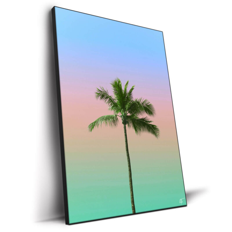 Spectrum Vibrant Wall Decor by Arytron