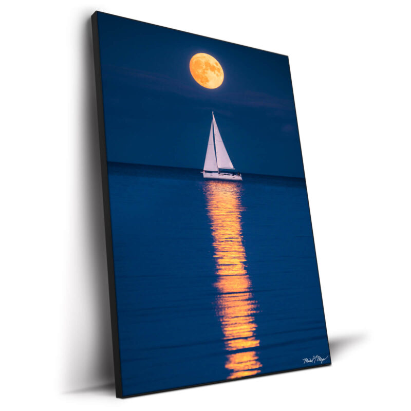 Navy Pier Reflections Wall Decor by Michael Meyers