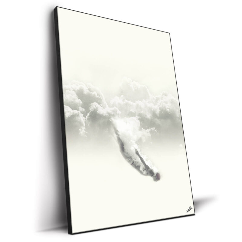 Sky-Diver Black and White Wall Decor by Fran Rodríguez