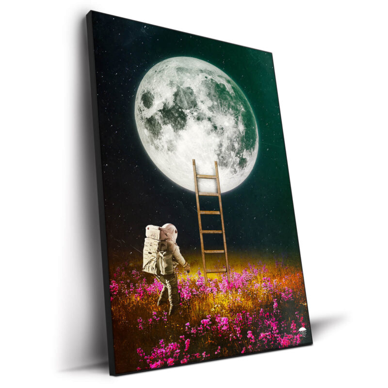 Going to the Moon Dark Wall Decor by Seamless