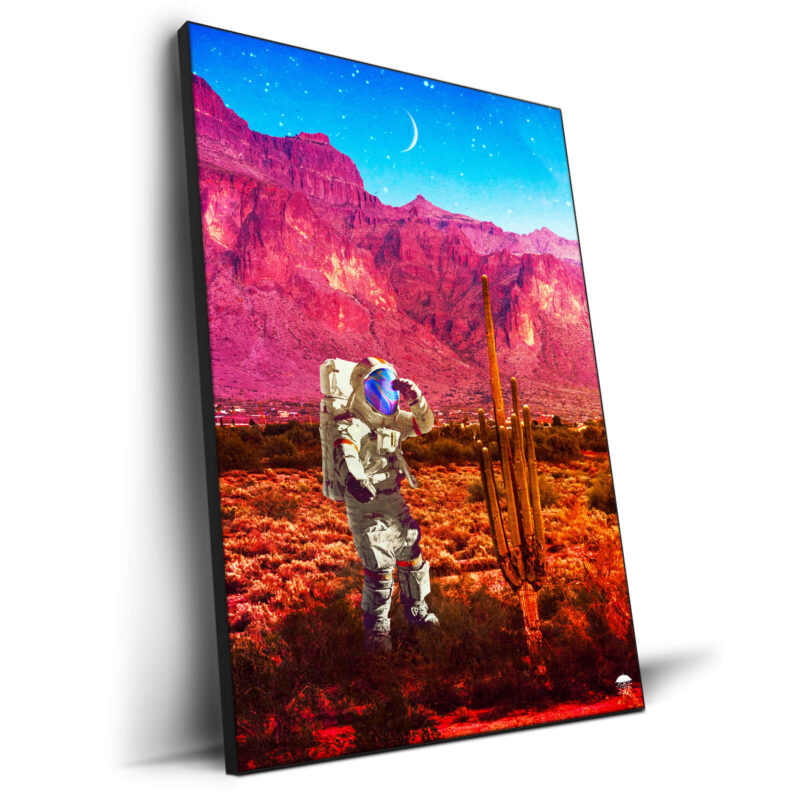 Space Desert Warm Wall Decor by Seamless