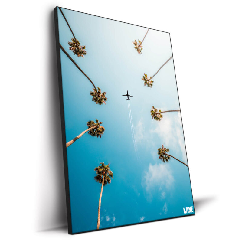 Palm Trees Cool Wall Decor by Kane C. Andrade