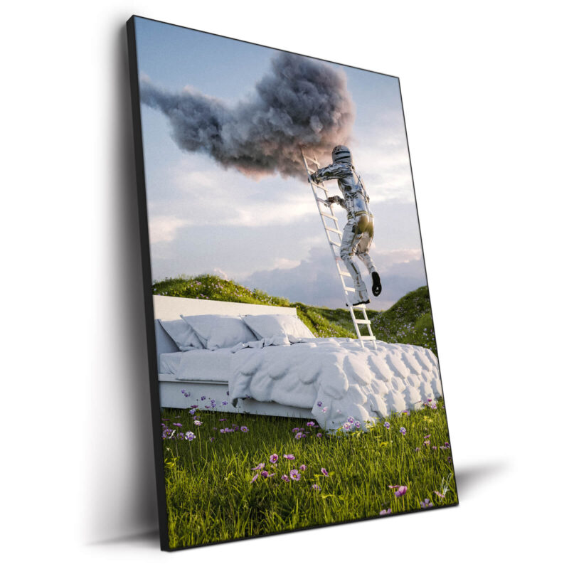 Astro Dreams Cool Wall Decor by CaptvArt
