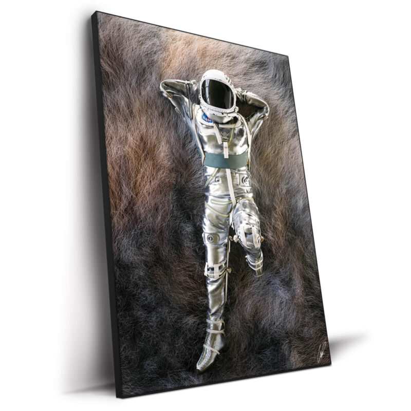 Astro Fur Rug Warm Wall Decor by CaptvArt