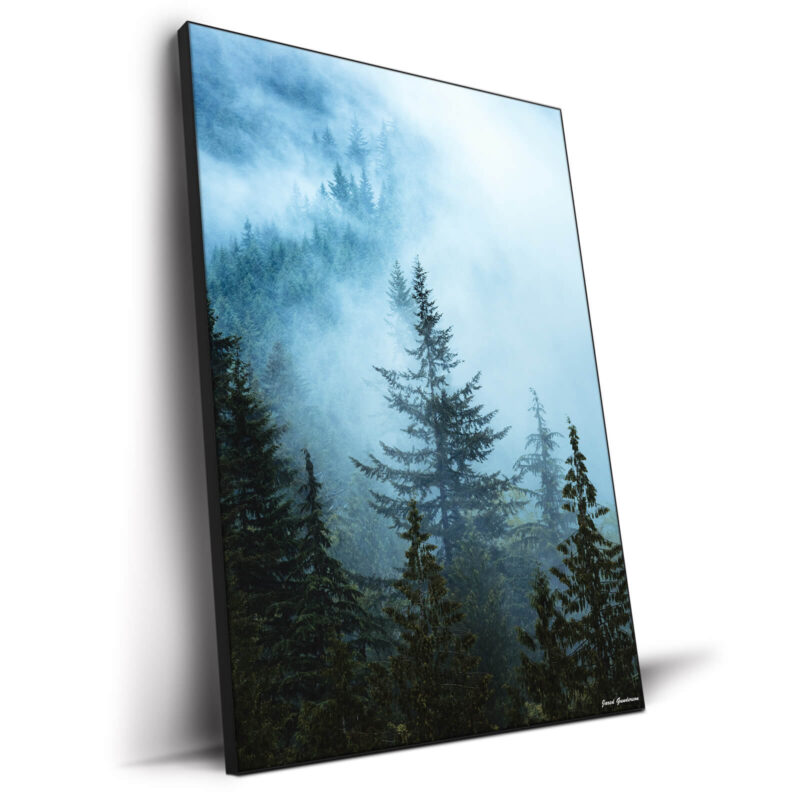 Hazy Treetops Cool Wall Decor by Jared Q. Gunderson