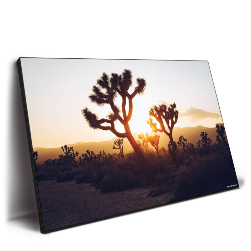 Desert Sunrise Warm Wall Decor by Jared Q. Gunderson
