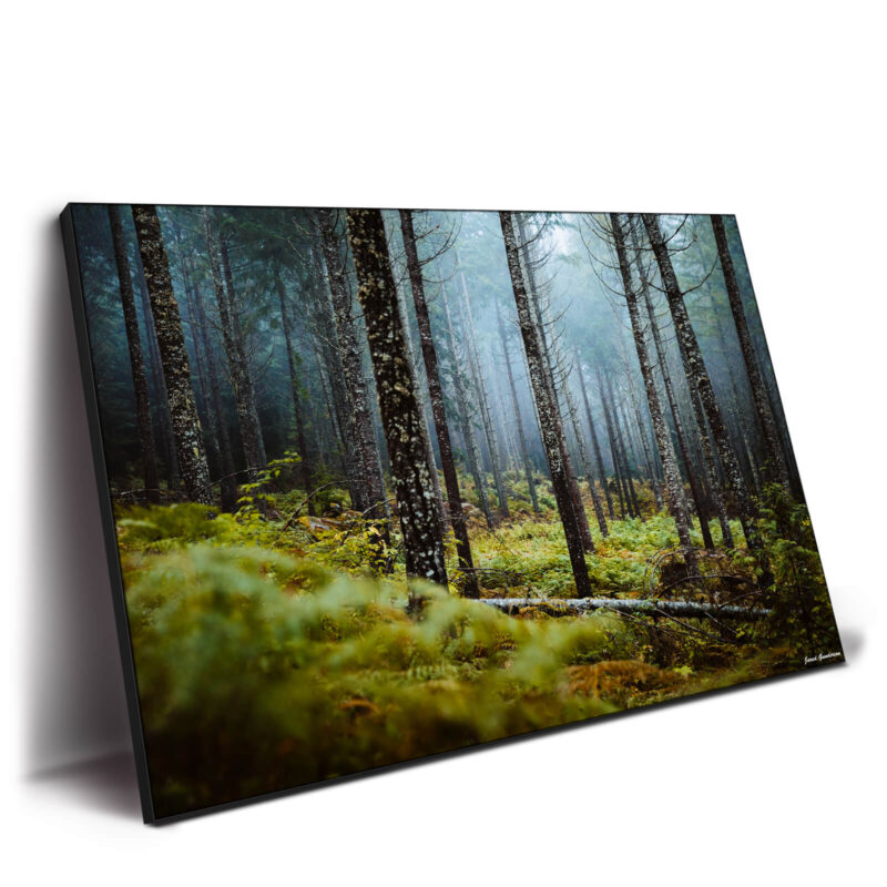 Wooded Escape Dark Wall Decor by Jared Q. Gunderson