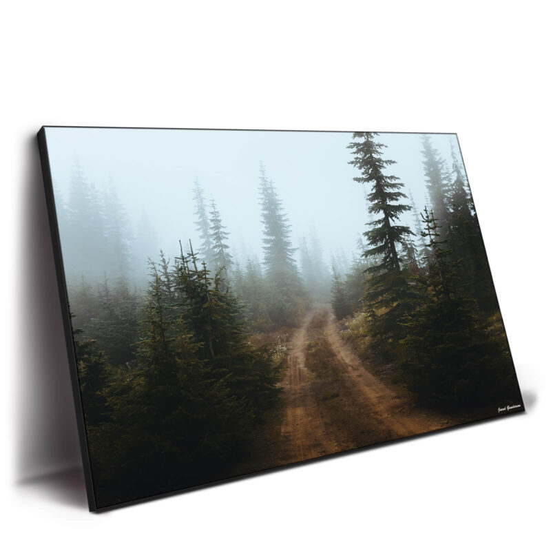 Backroad Adventures Cool Wall Decor by Jared Q. Gunderson
