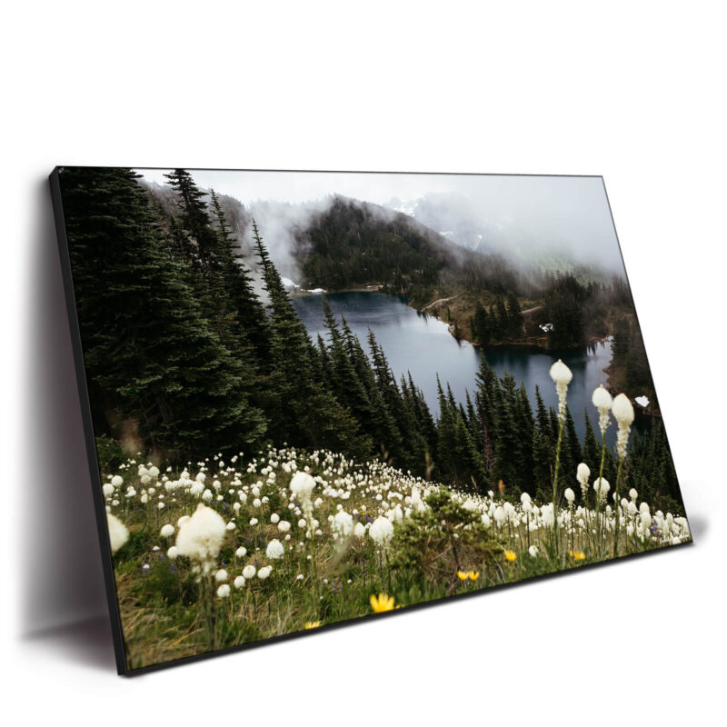 Wildflower Overlook Cool Wall Decor by Jared Q. Gunderson