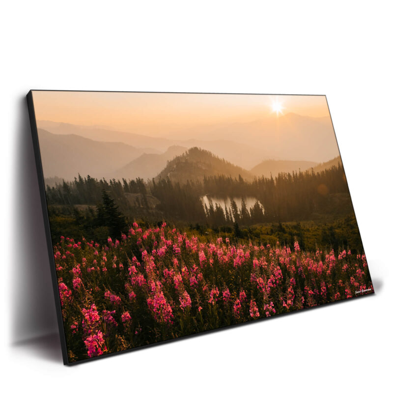 Wildflower Island Warm Wall Decor by Jared Q. Gunderson