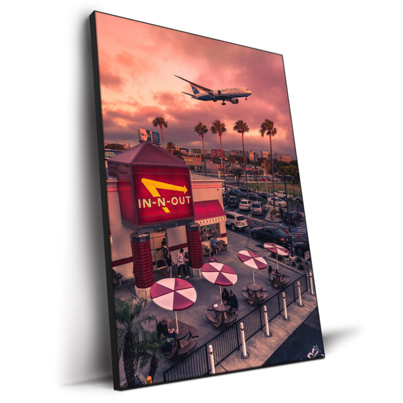 In & Out Fly By Warm Wall Decor by Deston Isas