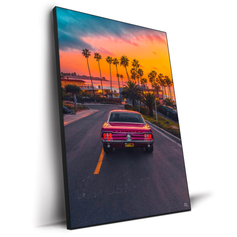 Shark 67 Warm Wall Decor by Deston Isas