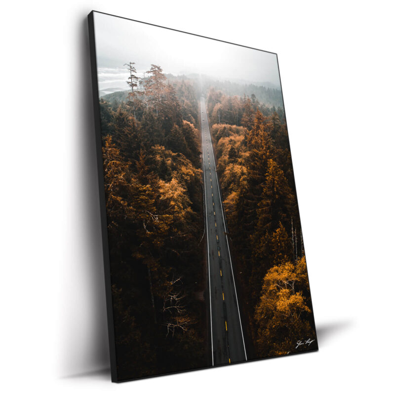 Aerial Trails Dark Wall Decor by Devon Loerop
