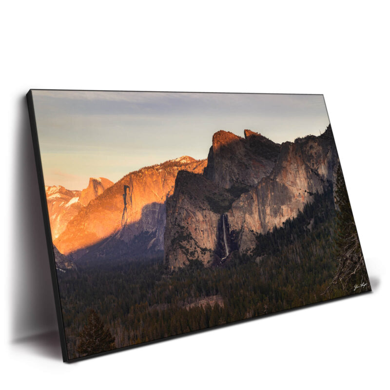 Golden Heaven Warm Wall Decor by Devon Loerop