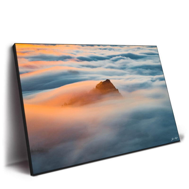 Sea of Dreams Warm Wall Decor by Devon Loerop