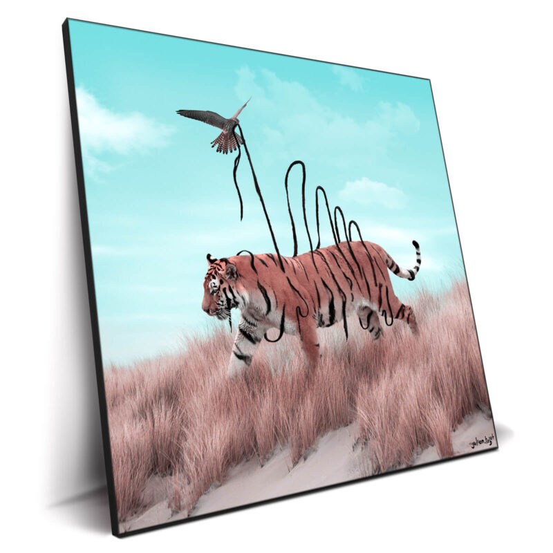 Dexterity Cool Wall Decor by Julien Tabet