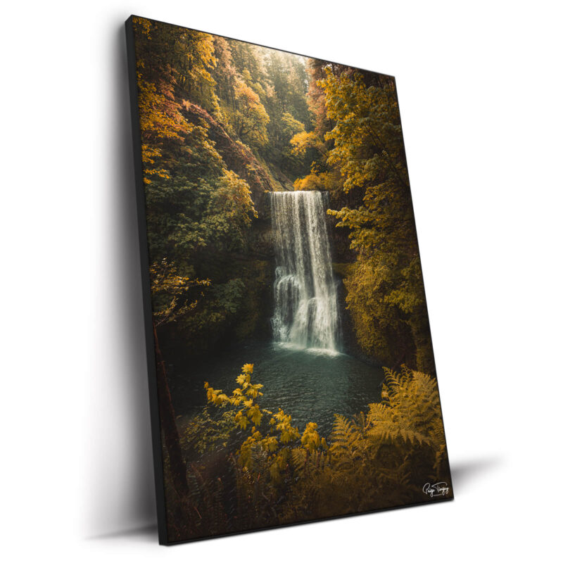 Soft Mornings Warm Wall Decor by Paige Tingey