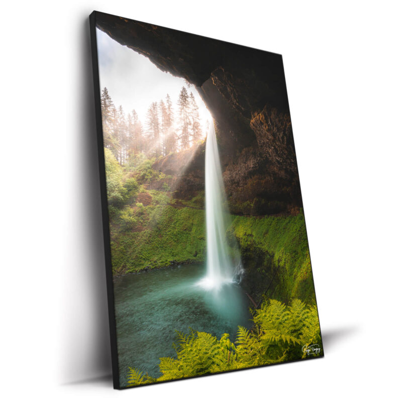 Falling Elegance Vibrant Wall Decor by Paige Tingey