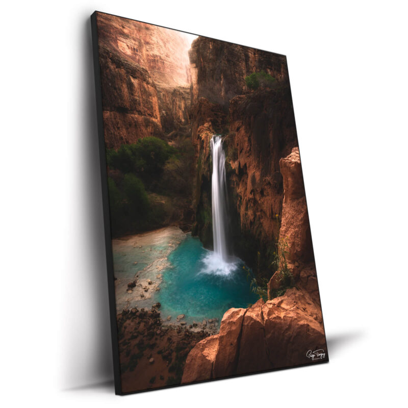 Morning Philosophy Warm Wall Decor by Paige Tingey