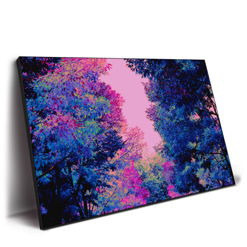 Tropical Dreaming Vibrant Wall Decor by Arytron