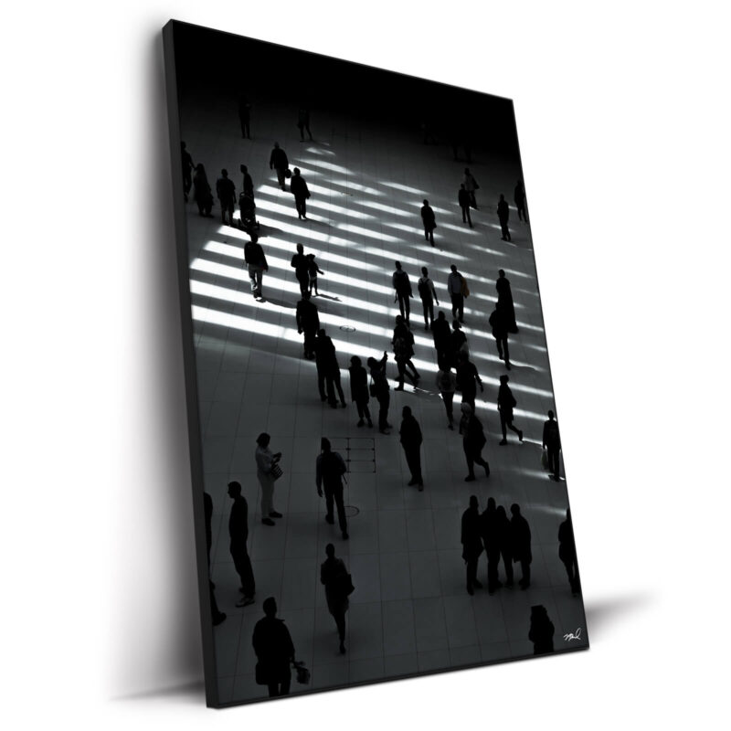 Oculus Shadows Black and White Wall Decor by Nick Ford