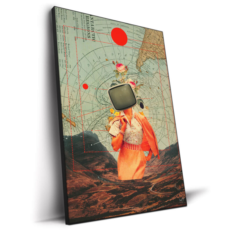 Antarctic Broadcast Warm Wall Decor by Frank Moth