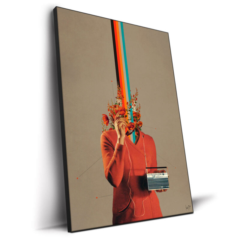 Musicolor Warm Wall Decor by Frank Moth