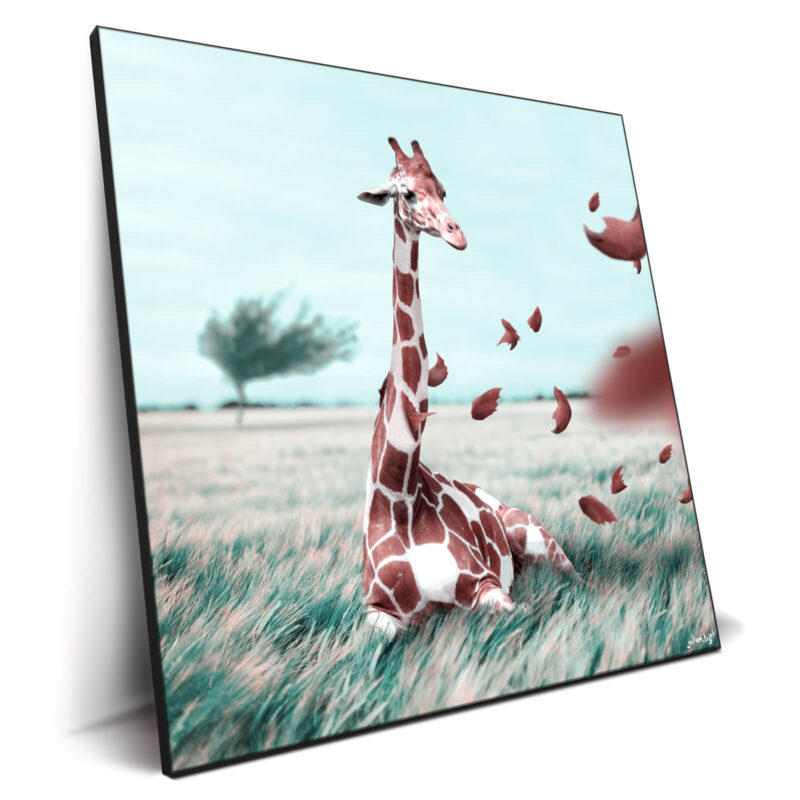 Windy Cool Wall Decor by Julien Tabet