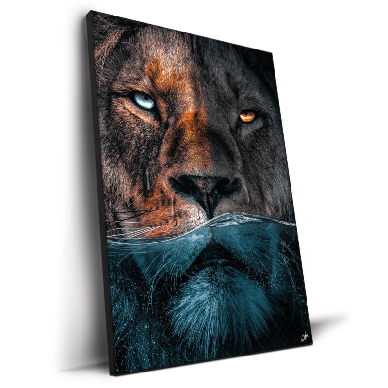 Underwater Lion Dark Wall Decor by Zenja Gammer