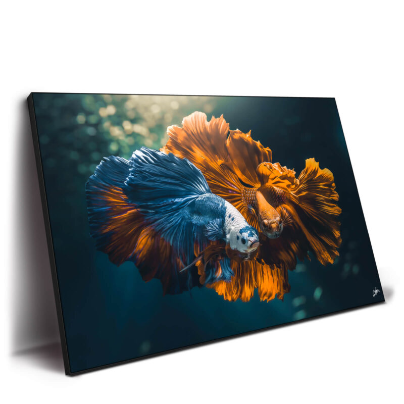 Colorful Love Vibrant Wall Decor by Zenja Gammer