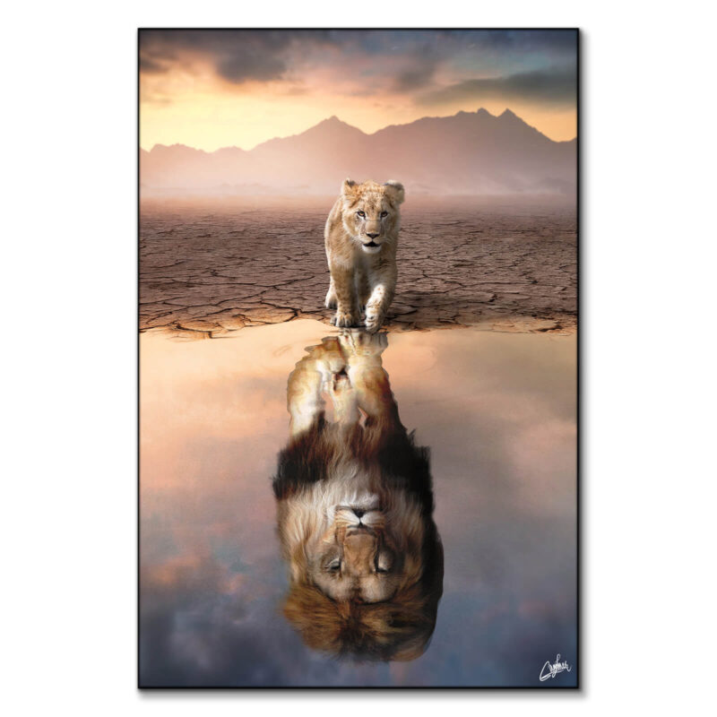 Lion Reflection Warm Wall Art by Zenja Gammer