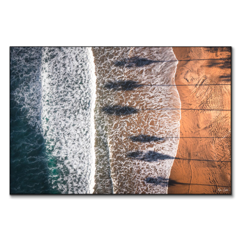 Palm Shadows Warm Wall Art by Ryan Ditch