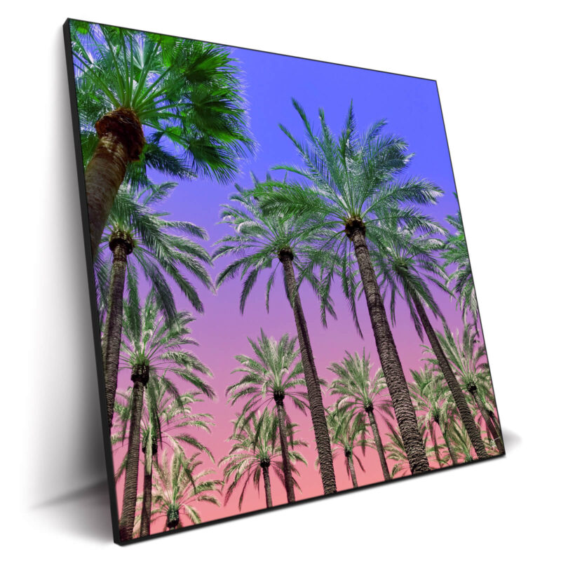 Desert Sun Vibrant Wall Decor by Arytron