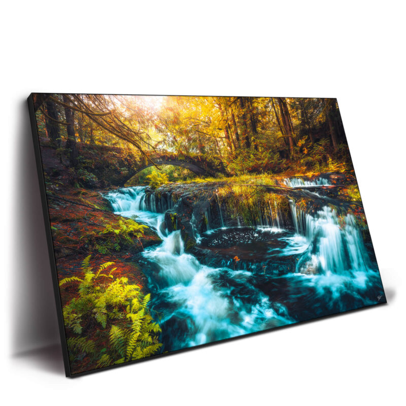 Hidden Cascades Warm Wall Decor by Zach Doehler