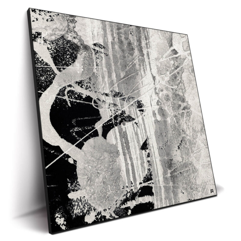Wild Strokes Black and White Wall Decor by Jared Hankins