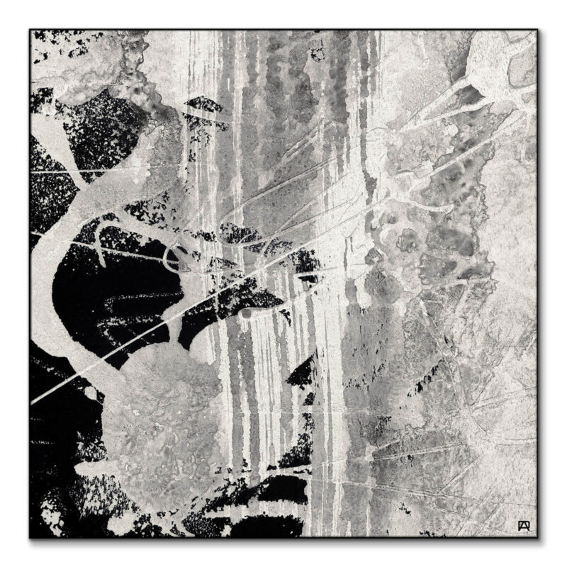 Wild Strokes Black and White Wall Art by Jared Hankins