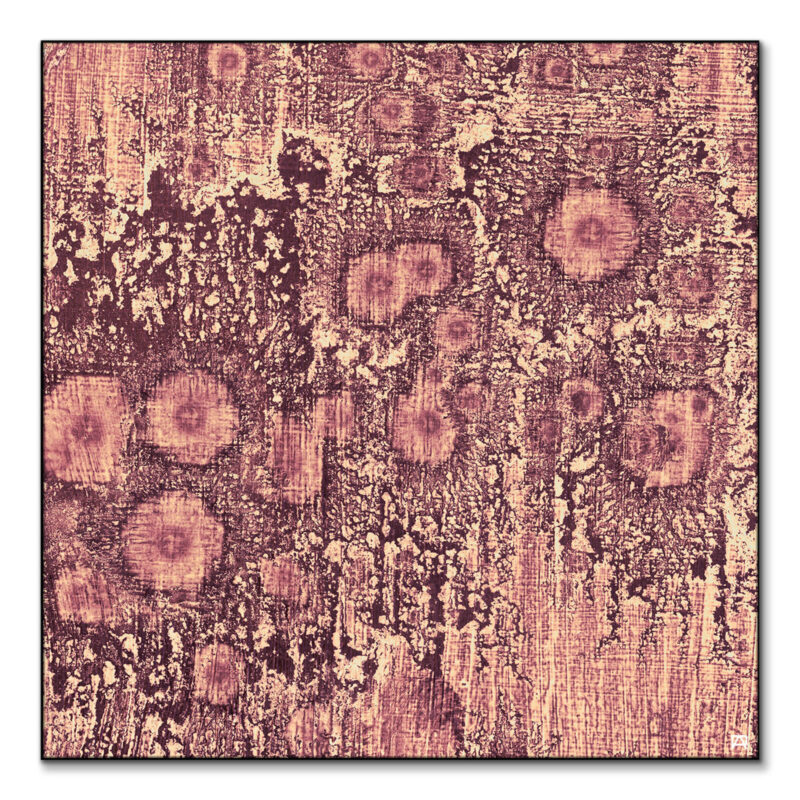 Pink Pattern Pink Wall Art by Jared Hankins