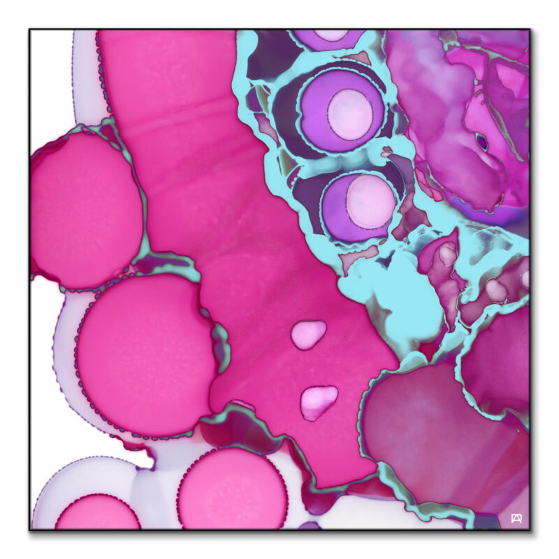 Flora Pink Purple Wall Art by Jared Hankins