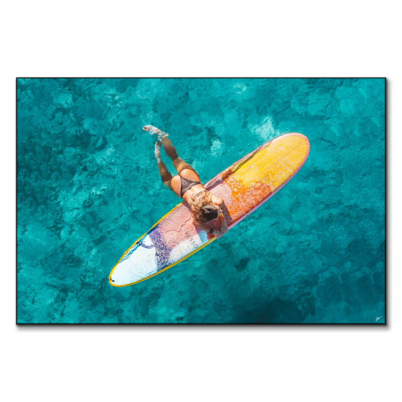 Surfer Girl Cool Wall Art by Jess Loiterton