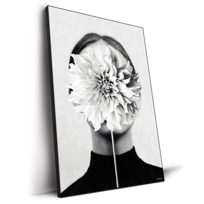 White Flower Black and White Wall Decor by Underdott