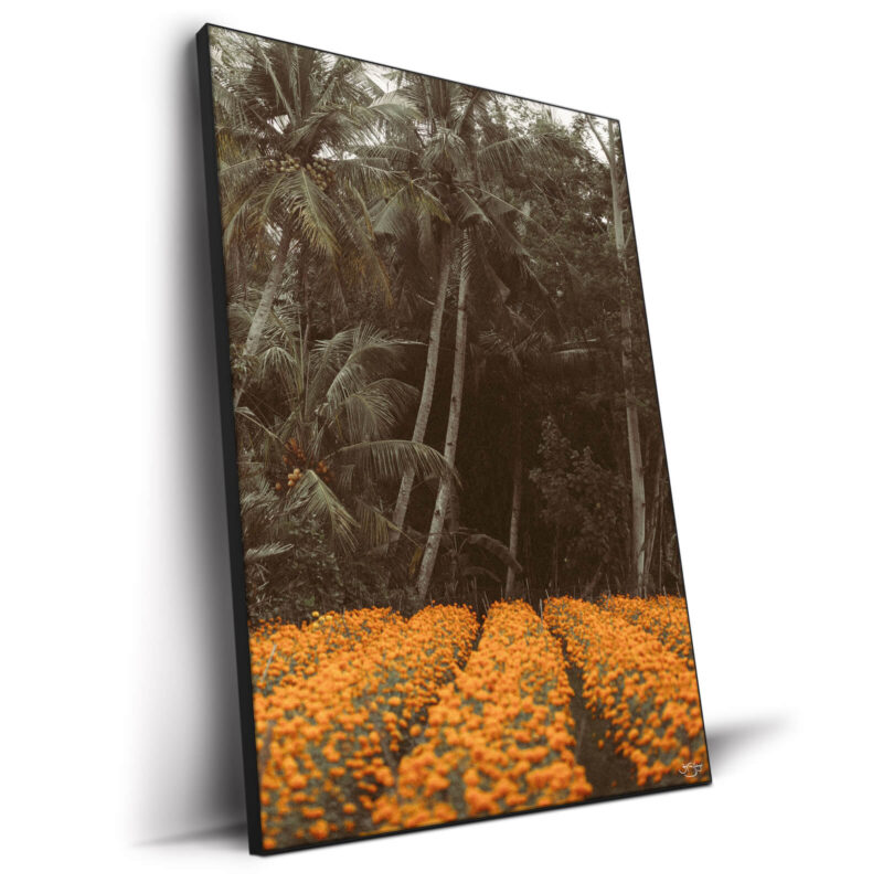 Bali Warm Wall Decor by Zachary Snellenberger