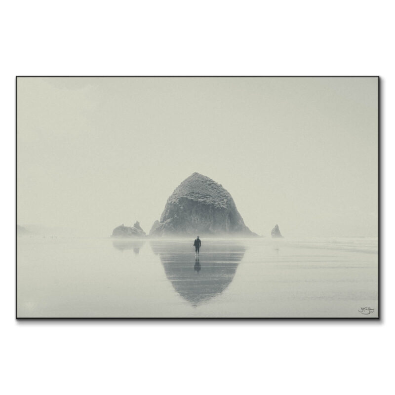 Gone Black and White Wall Art by Zachary Snellenberger