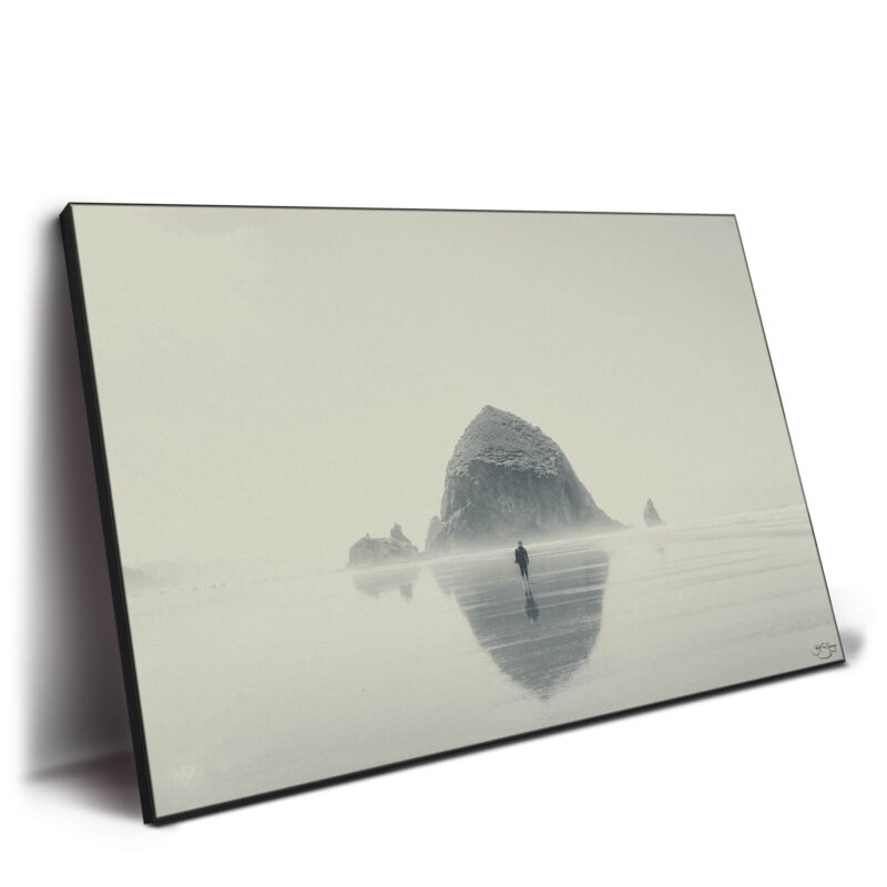 Gone Black and White Wall Decor by Zachary Snellenberger