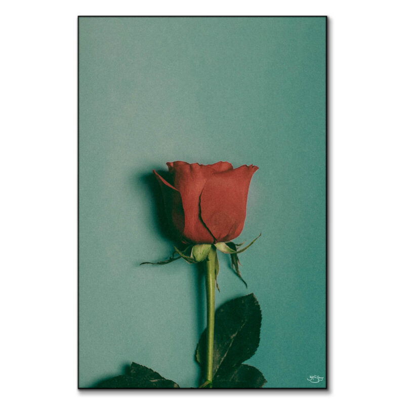 Velvet Warm Wall Art by Zachary Snellenberger