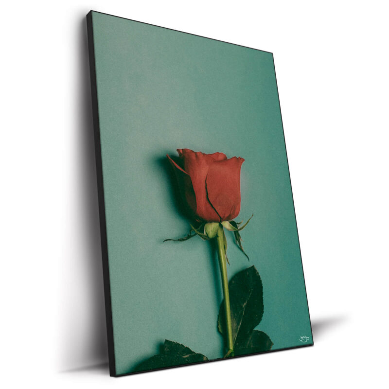 Velvet Warm Wall Decor by Zachary Snellenberger