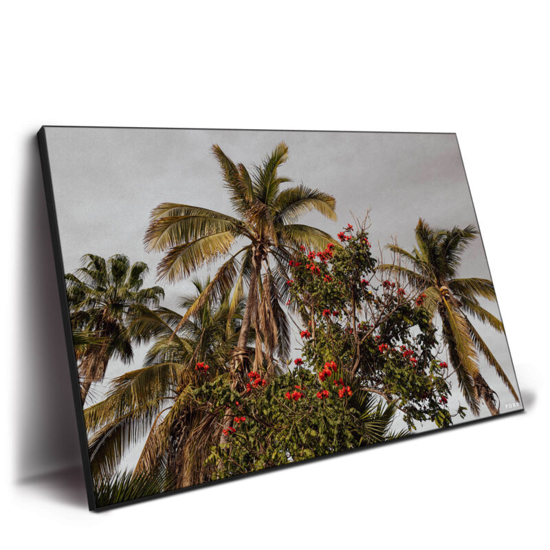 One Day in Mexico Green Wall Decor by Nick Ford