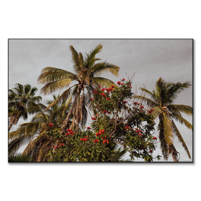 One Day in Mexico Green Wall Art by Nick Ford