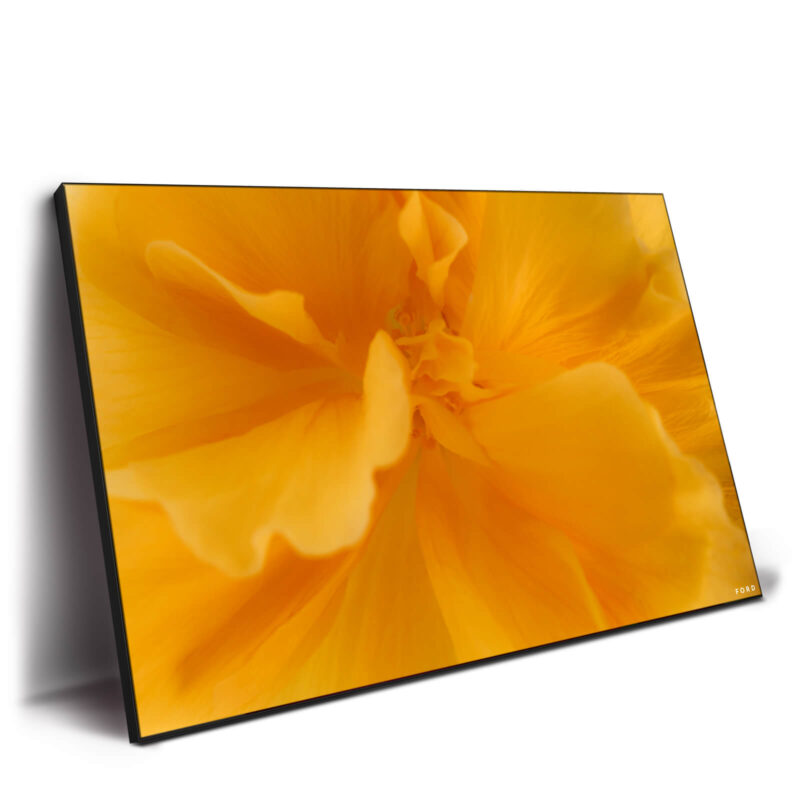 They Call Me Mellow Yellow Warm Wall Decor by Nick Ford